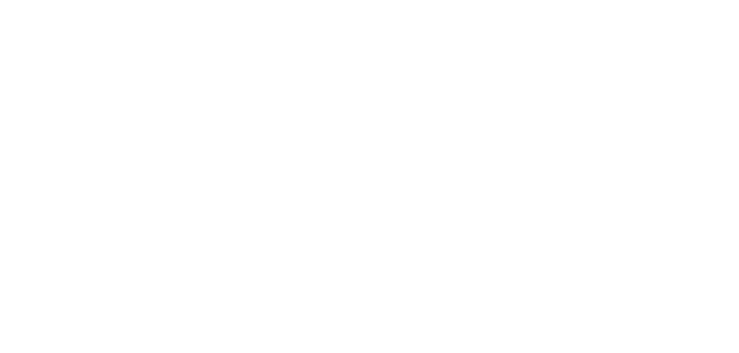 Holman Strategic Solutions